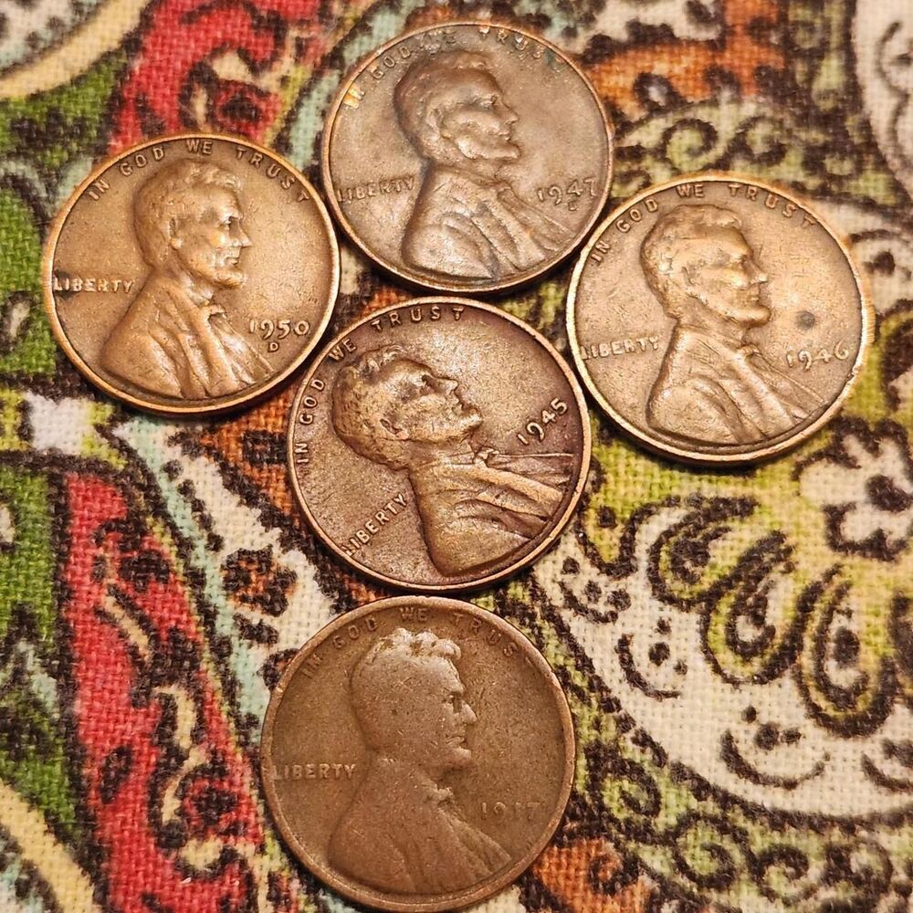 Palace multi Collectibles